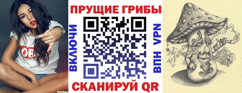 что такое наркотик  Ковров  Псилоцибиновые грибы MAGIC MUSHROOMS 